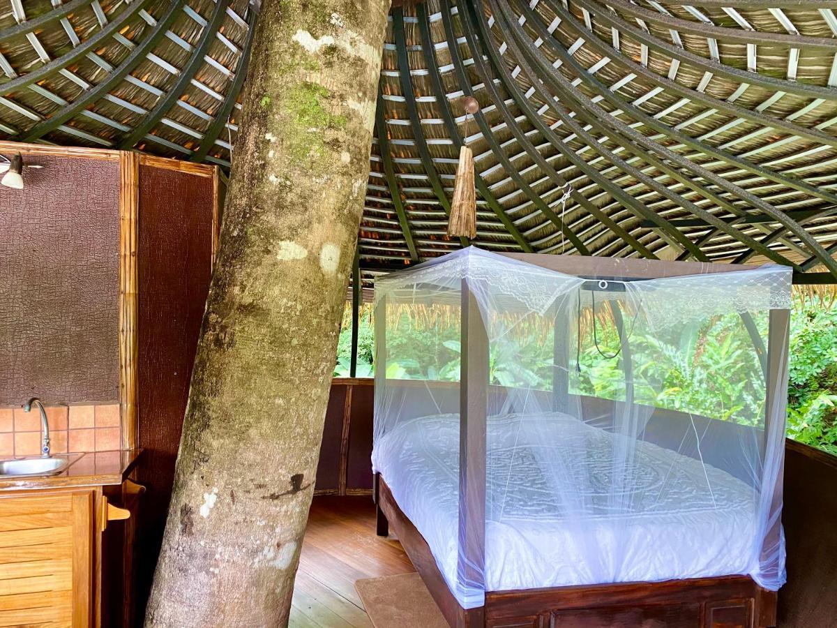 Cabanas Rio Encantado Alto Boquete Dış mekan fotoğraf